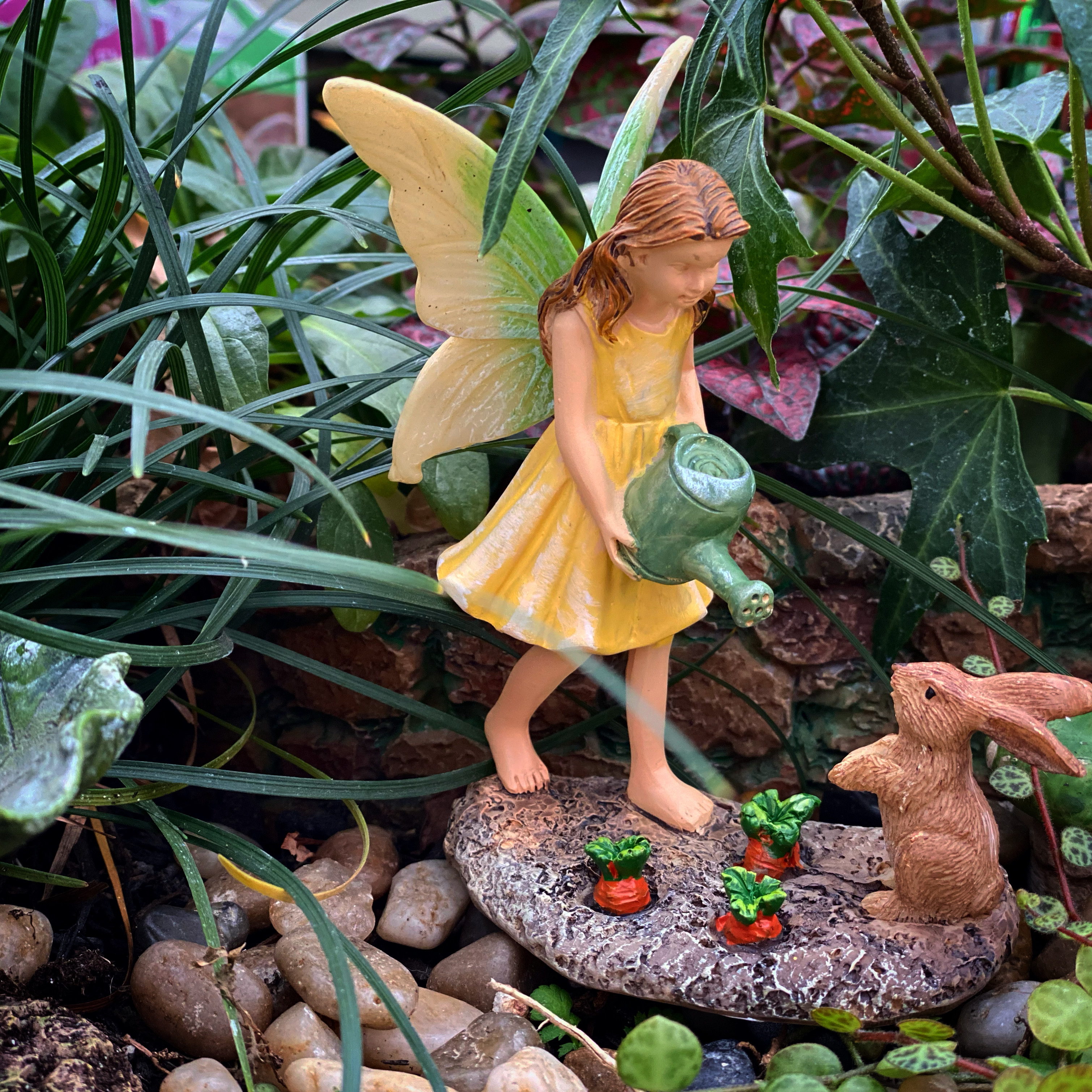 Fairy Garden — Nature's Corner